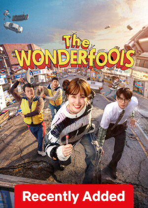 The WONDERfools poster